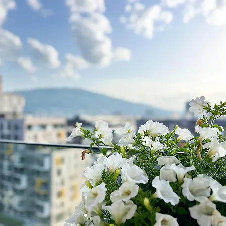 Apartment Paradise 55