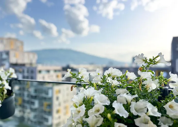 Апартаменти Paradise 55